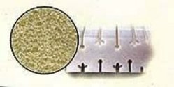 polyether.jpg